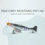 AJ003 1943 Grey Mustang P51 1:40 